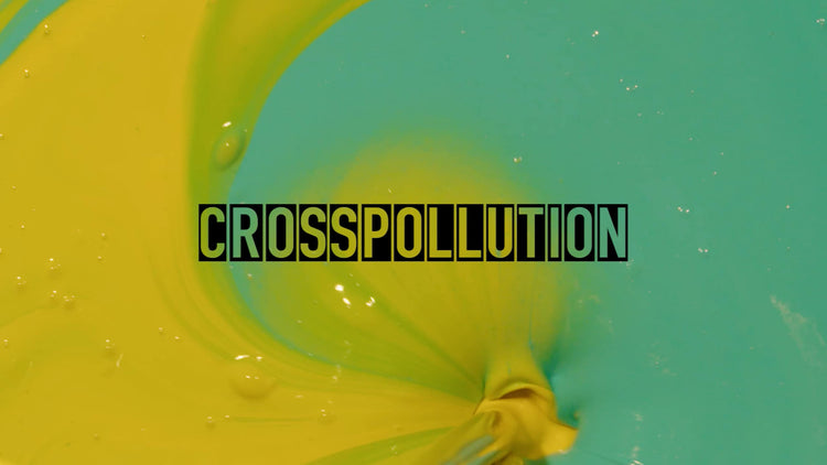 CROSSPOLLUTION 2: #CP2OUR