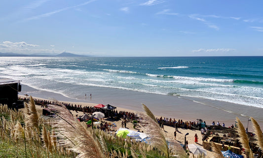 ALC & Volcom présentent le Flying Rats Airshow